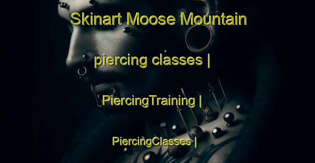 Skinart Moose Mountain piercing classes | PiercingTraining | PiercingClasses | SkinartTraining-Canada
